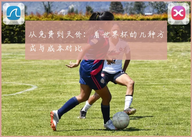 从免费到天价:看世界杯的几种方式与成本对比