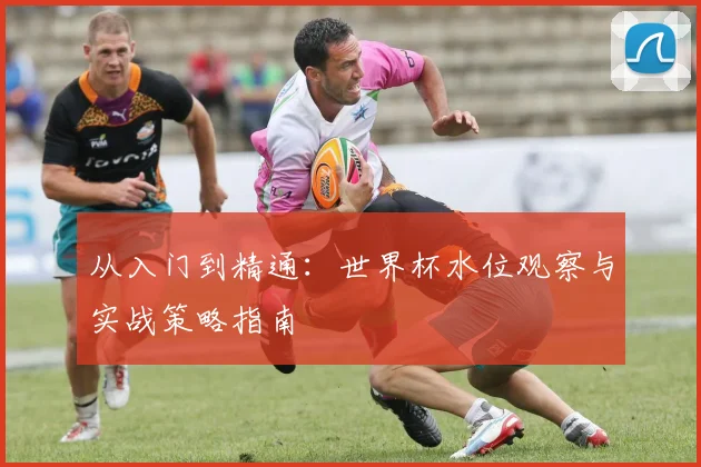 从入门到精通:世界杯水位观察与实战策略指南