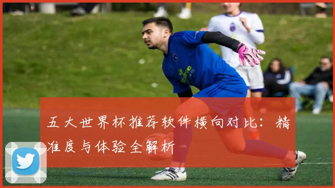 五大世界杯推荐软件横向对比：精准度与体验全解析