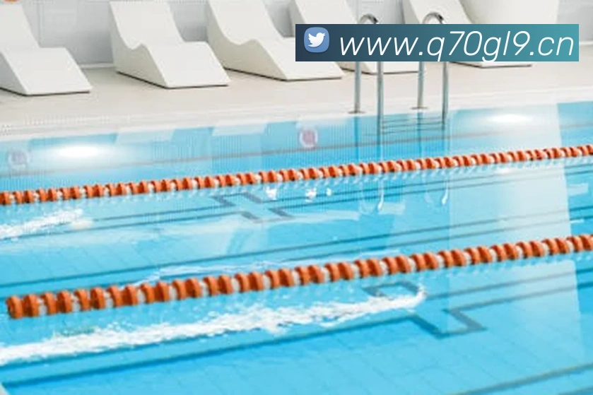 星空网页版平台生态图